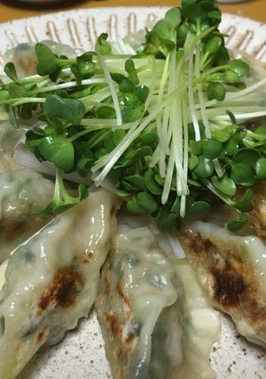 野菜たっぷり♡ヘルシー餃子-レシピのメイン写真