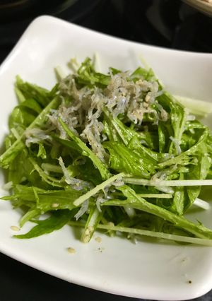 レモンでさっぱり！じゃこと水菜サラダ-レシピのメイン写真