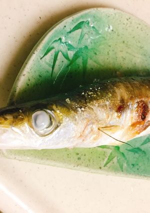 特大カマスの塩焼き-レシピのメイン写真
