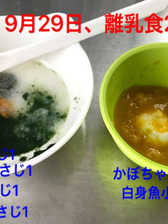 離乳食初期☆しらす-レシピのメイン写真