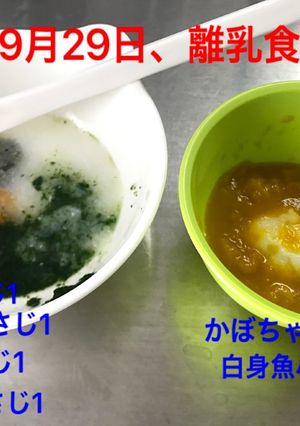 離乳食初期☆しらす-レシピのメイン写真