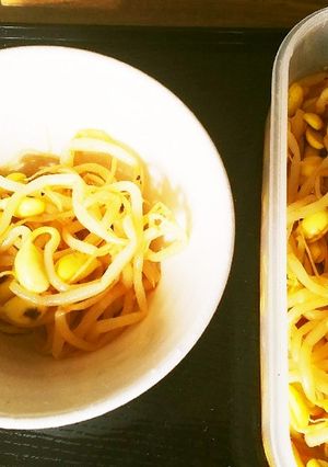 常備菜　大豆もやしのナムル-レシピのメイン写真