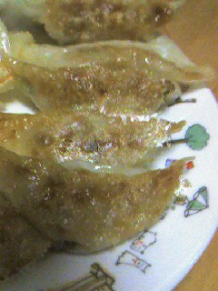 おからと白菜でギョウザ-レシピのメイン写真