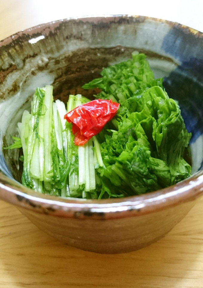 簡単しゃきしゃき！水菜の浅漬け-レシピのメイン写真