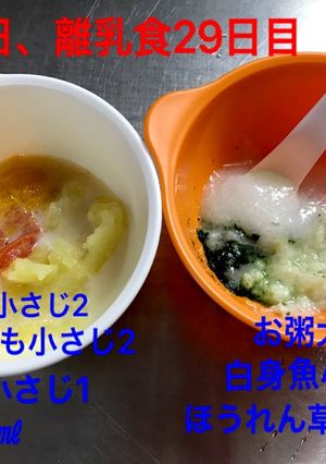 離乳食初期☆かぼちゃ-レシピのメイン写真
