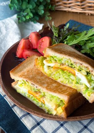 春キャベツと卵のワンパンホットサンド-レシピのメイン写真