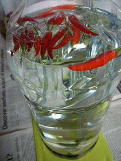 アラビア唐辛子の激辛唐辛子焼酎-レシピのメイン写真
