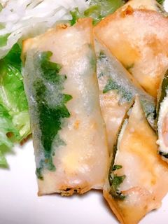 簡単!海老チーズ春巻き-レシピのメイン写真