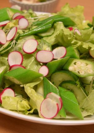 断面が綺麗な野菜のサラダ-レシピのメイン写真