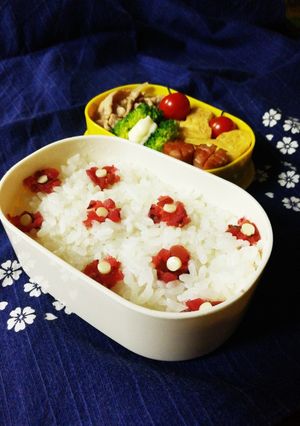 超簡単✿花柄ごはん✿キャラ弁デコ弁-レシピのメイン写真