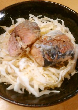 さば水煮缶と千切りキャベツ-レシピのメイン写真