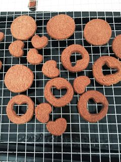 HMで簡単!サクサクココアクッキー-レシピのメイン写真