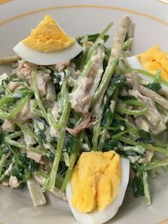 ごぼうと豆苗のサラダ-レシピのメイン写真