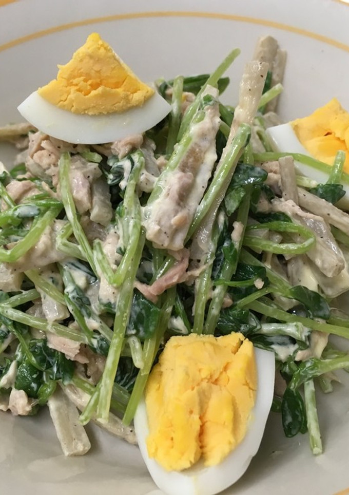 ごぼうと豆苗のサラダ-レシピのメイン写真