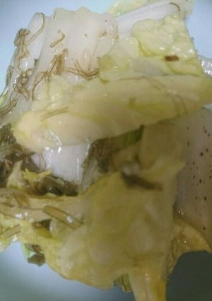 災害時　簡単白菜漬け-レシピのメイン写真