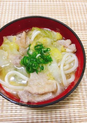風邪の時にも✤鶏塩みぞれうどん-レシピのメイン写真