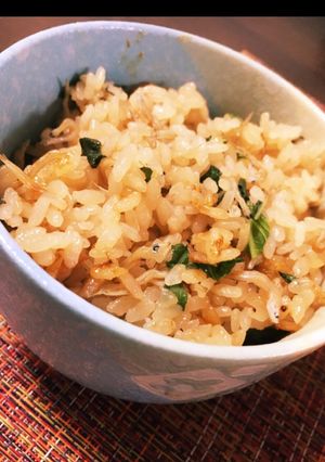 簡単♩ポン酢と大葉とじゃこの炊き込みご飯-レシピのメイン写真