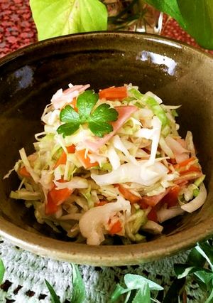 野菜たっぷり★コールスローサラダ-レシピのメイン写真