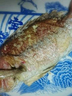 身もふっくら~な鯛の塩焼き-レシピのメイン写真