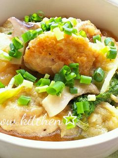 鶏肉と白菜のみぞれ煮-レシピのメイン写真