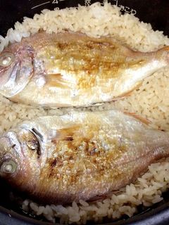 鯛の炊き込みご飯-レシピのメイン写真