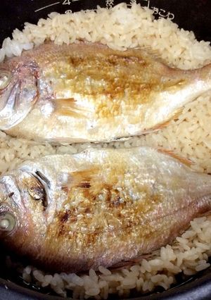 鯛の炊き込みご飯-レシピのメイン写真
