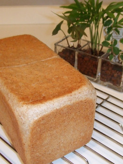 サンドイッチに最適♪全粒粉の角食パン-レシピのメイン写真