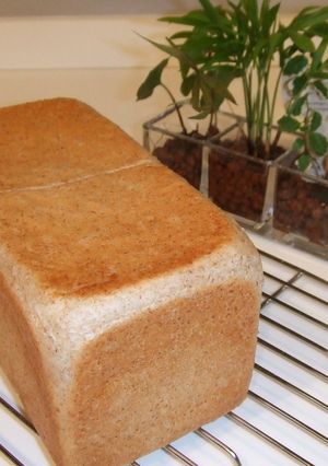 サンドイッチに最適♪全粒粉の角食パン-レシピのメイン写真