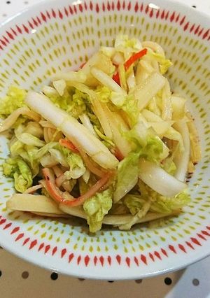 白菜サラダ-レシピのメイン写真