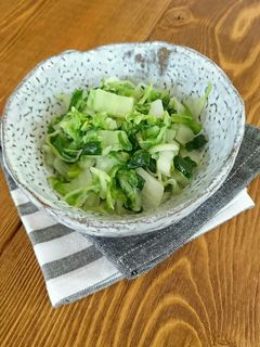 白菜とねぎの塩炒め-レシピのメイン写真
