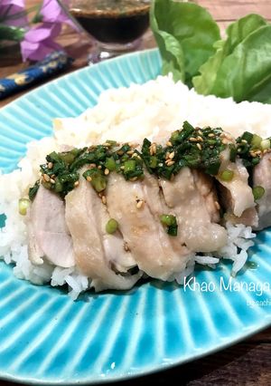 炊飯器で簡単！カオマンガイ-レシピのメイン写真
