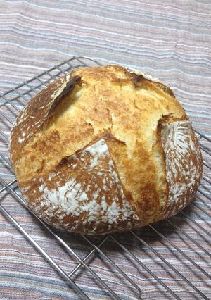 冷蔵発酵 カンパーニュ（ボウル被せ焼き）-レシピのメイン写真