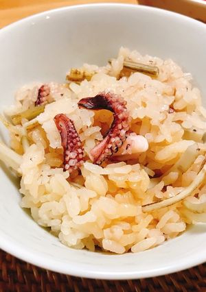 炊飯器で簡単！イカと牛蒡の炊き込みご飯！-レシピのメイン写真