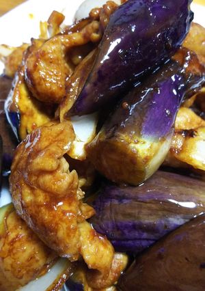 ナスと鶏のピリ辛炒め-レシピのメイン写真