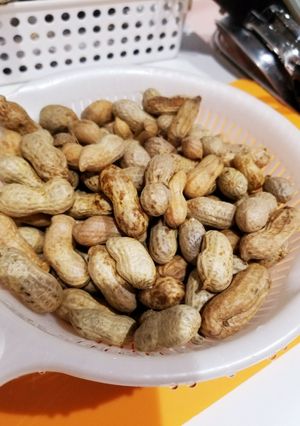 茹でピーナツ-レシピのメイン写真
