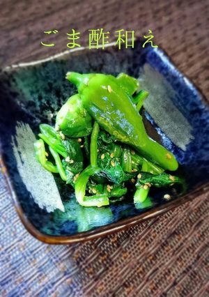 ほうれん草とししとうのごま酢和え-レシピのメイン写真