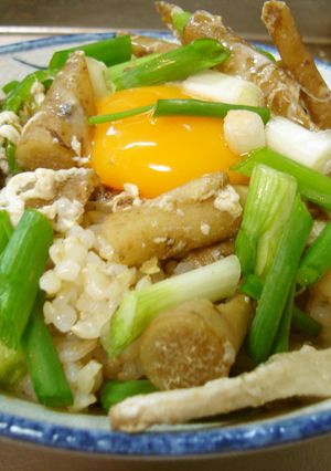 最速の穂先ごぼう丼-レシピのメイン写真