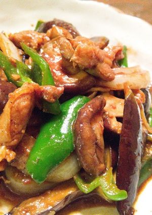 ツマミに最高！鶏肉とナス秋のピリ辛回鍋肉-レシピのメイン写真