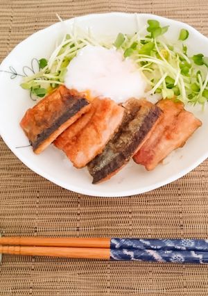 カンタン！さんまの蒲焼き丼-レシピのメイン写真
