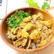 みぞれ豚丼