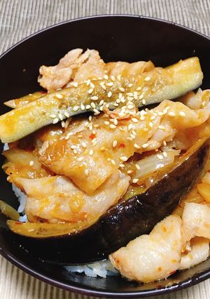ナスと豚バラ肉のピリ辛丼-レシピのメイン写真