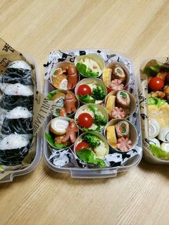 初めての幼稚園運動会弁当2017(覚書)-レシピのメイン写真