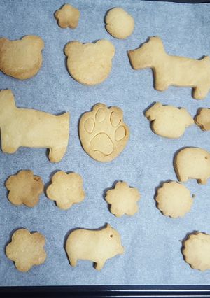 こどもと作れる簡単クッキーレシピ-レシピのメイン写真