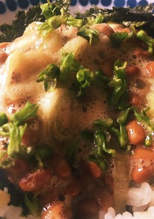 紫蘇の実☆納豆ご飯のトッピングに！-レシピのメイン写真