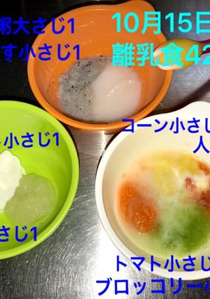 離乳食初期☆ブロッコリー-レシピのメイン写真