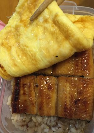 老舗鰻屋さんの きんし丼風　うな重　鰻丼-レシピのメイン写真