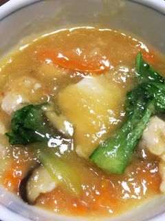 鶏肉の絶品おろし煮-レシピのメイン写真