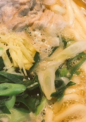 ネギどっさり。生姜多めの肉うどん-レシピのメイン写真
