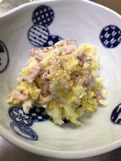 白菜のコールスローサラダ-レシピのメイン写真