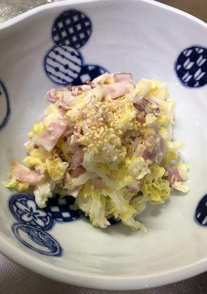 白菜のコールスローサラダ-レシピのメイン写真